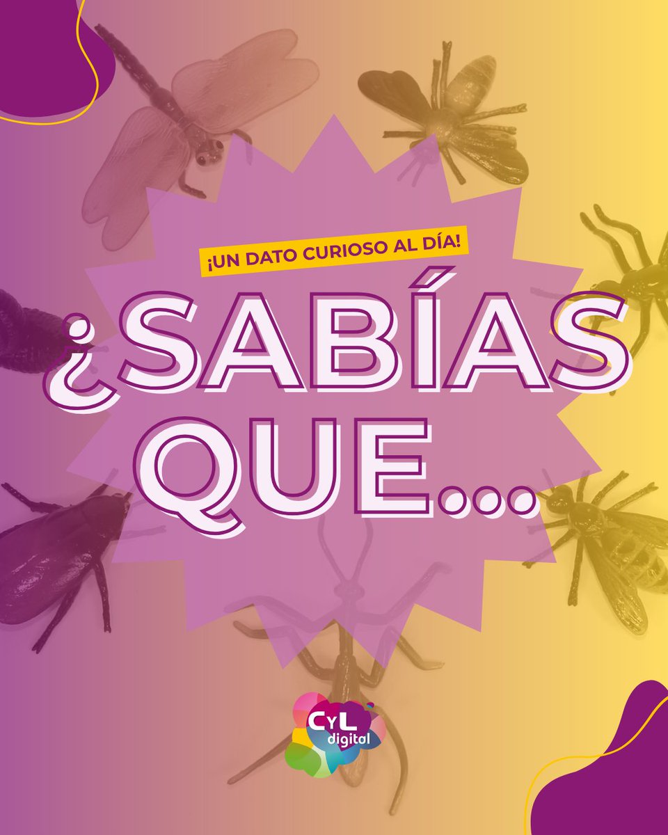 cyldigital's tweet image. 🔎 Muchas palabras tech tienen historias curiosas detrás.

Descubre de dónde viene eso de “debuggear” en este post 👀

#CyLDigital #CuriosidadesTech #Debug