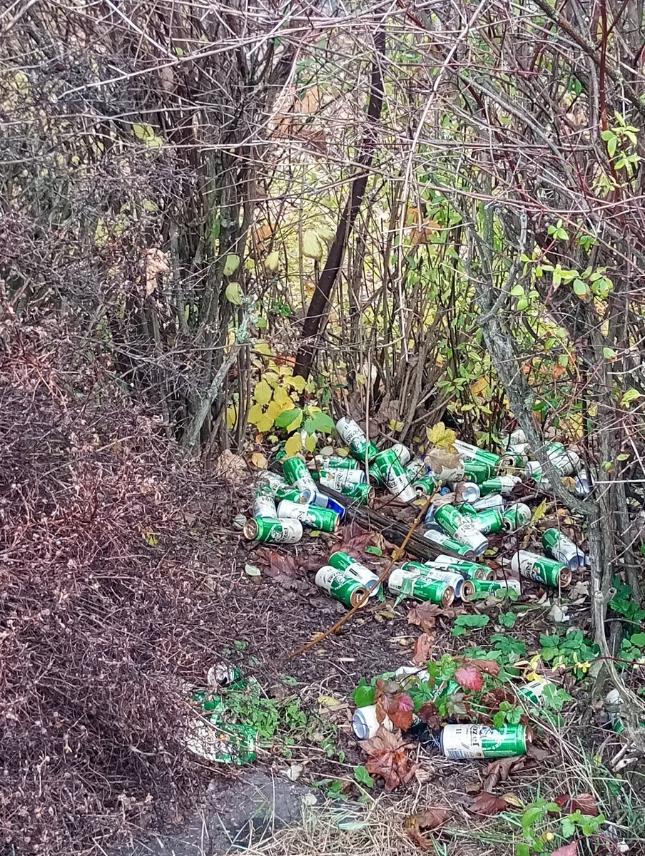 TenNatvrdej's tweet photo. Něco na tom zálohování plechovek je. Tohleto by už pak vidět nebylo #zalohovaniobalu #recyklace https://t.co/RlfC2HsBQ0
