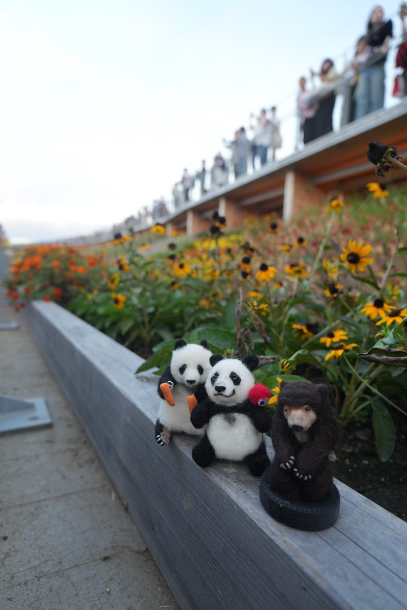 10月の楽しかったこと
その2
別の神が現れて、3日後に再訪😳✨
フランス館はdiorのミニトワルや各所にあるロダンの彫刻、その他にもヴィトンやショーメ、どの展示物も煌びやか✨
ミャクミャクハウスとパソナパビリオン、
今回もとっても楽しかった🐶🐼🐻🔵🔴🔵🔴🔵🔴