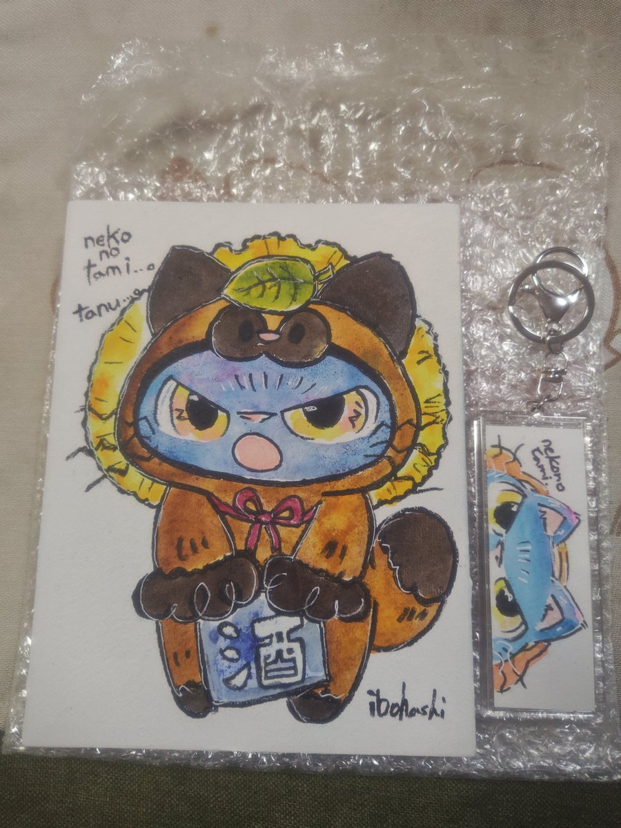 kazuki (@kazuki__1113) / Posts / X