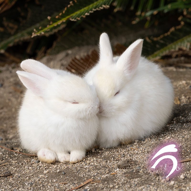 🍬(ame)表 (@bn_omote) / Posts / X