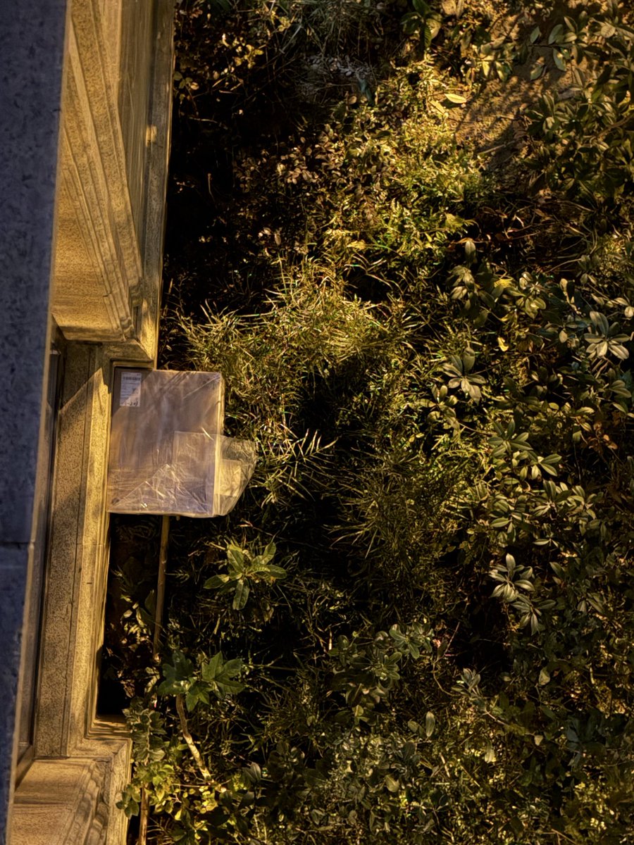 mingmingwaon's tweet image. 快递箱+塑料布、稻草 做了一个户外小猫窝