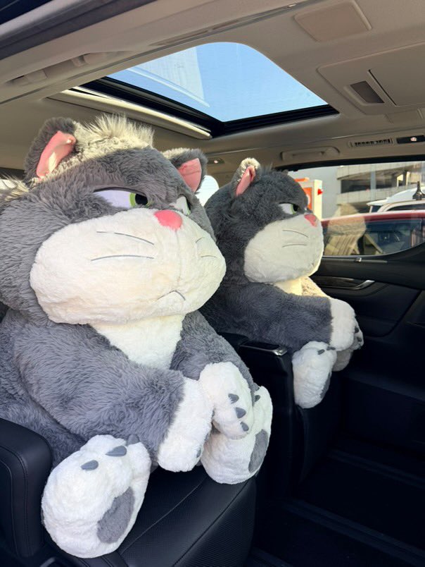 コストコの特大ルシファーお迎えしました 友人らにまじ感謝