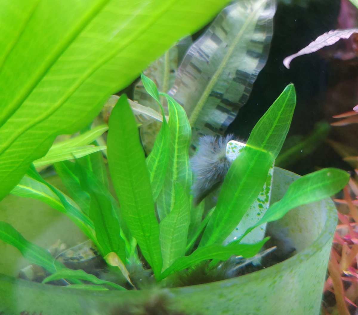 まさ (@masa_1552) / Posts / X