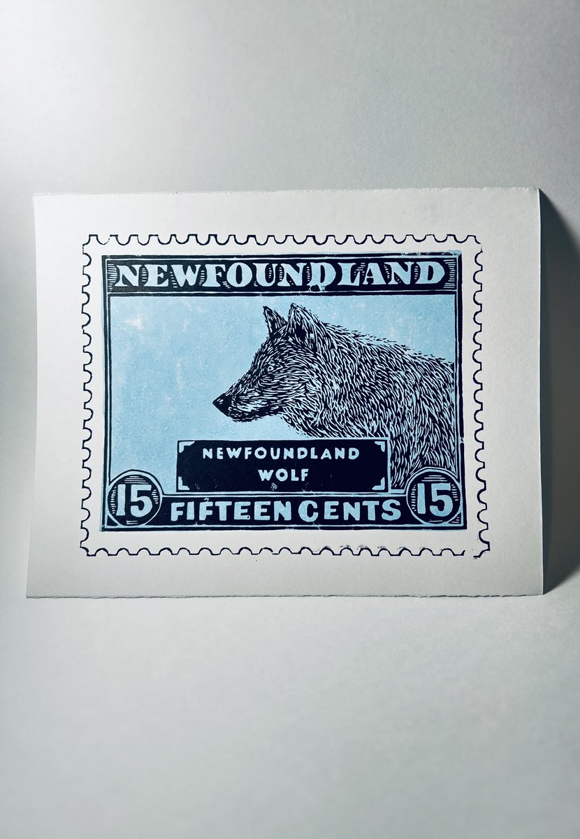 TroyMitchellNL's tweet photo. Newfoundland Wolf.  
A new @RockSpillers print.  

Extinct in 1910, it was a distinct species (Canus lupus beothucus). 
#wolf #Newfoundland https://t.co/uTLCDv31KD