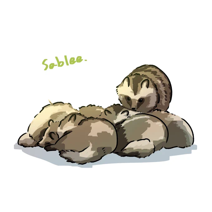 タヌキのたぬだんごを描きました