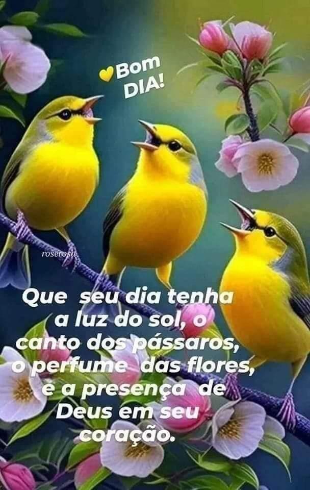 jbglima's tweet image. #bomdia