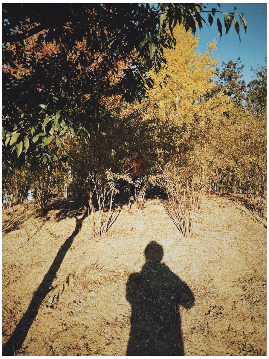 marksbranding's tweet image. Dazzで撮る秋
#iPhone16Pro