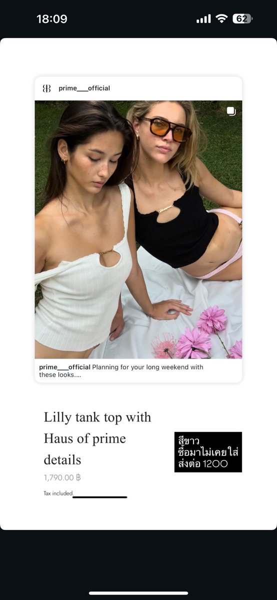 my little daisy tweet media