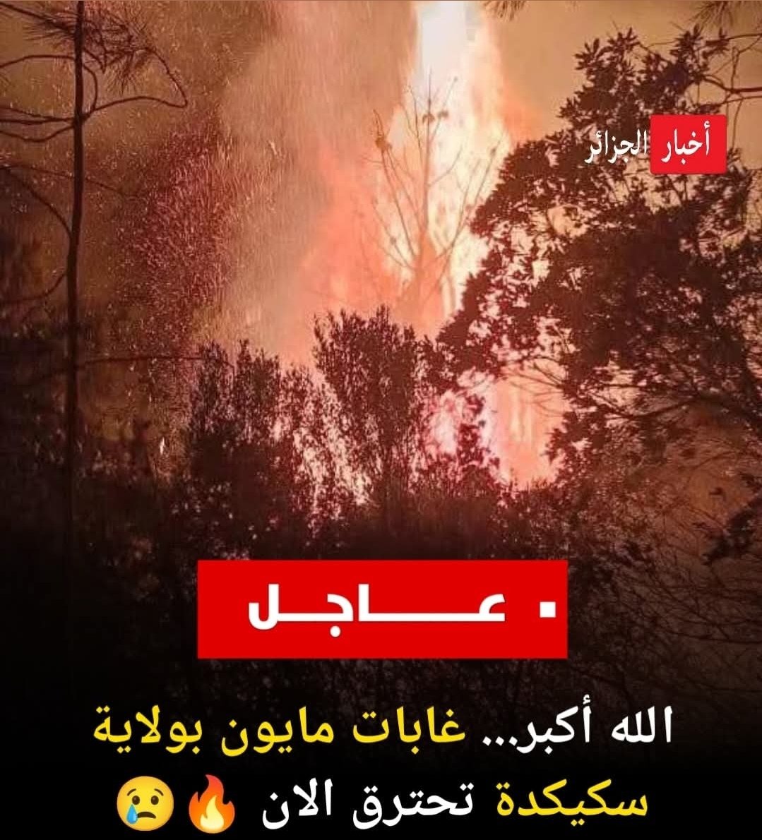 قد حان الوقت لاستعادة مديرية الغابات المراقبة بالدرون وبشكل دوري ومستمر
حيث أن الإستعانة بكاميرات الدرون يمكن مراقبة أكبر مساحة من الغابات وخاصة المناطق الجبلية والوعرة ..

كما تفعل عندنا سونطراك بالجنوب
حيث تجوب هيلوكبتر كل يوم في مراقبة أنابيب النفط والغاز

#حرائق__الغابات