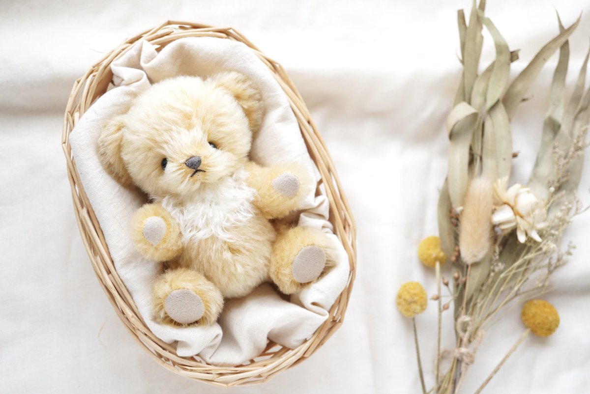 はす (@hasunokuma) / Posts / X