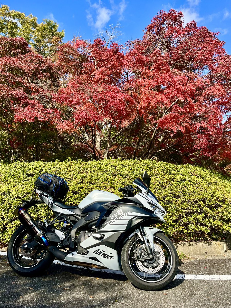 富士と海 SUPERIA Processless Thermal CTP Plates: Superia ZX | Fujifilm