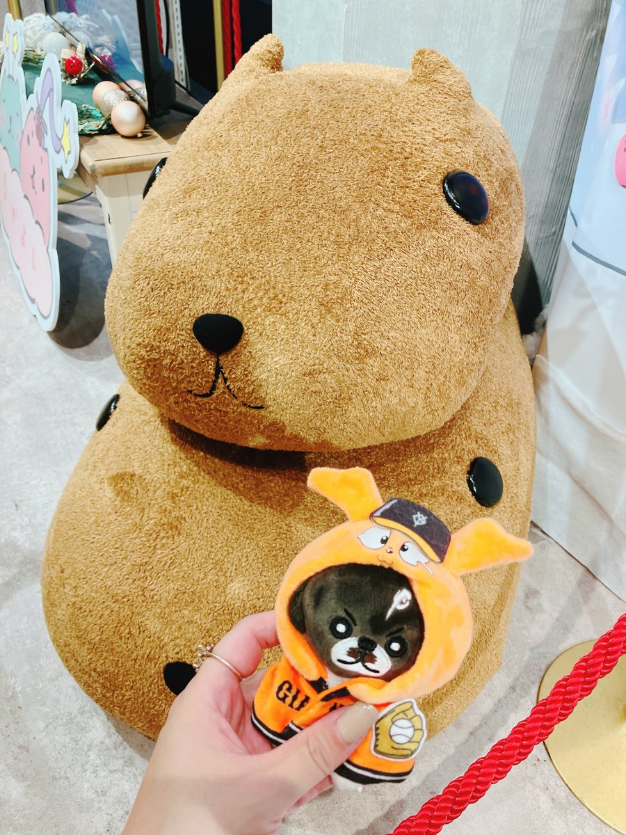 mk_t_log's tweet image. カピバラさんかわいかったです🤍