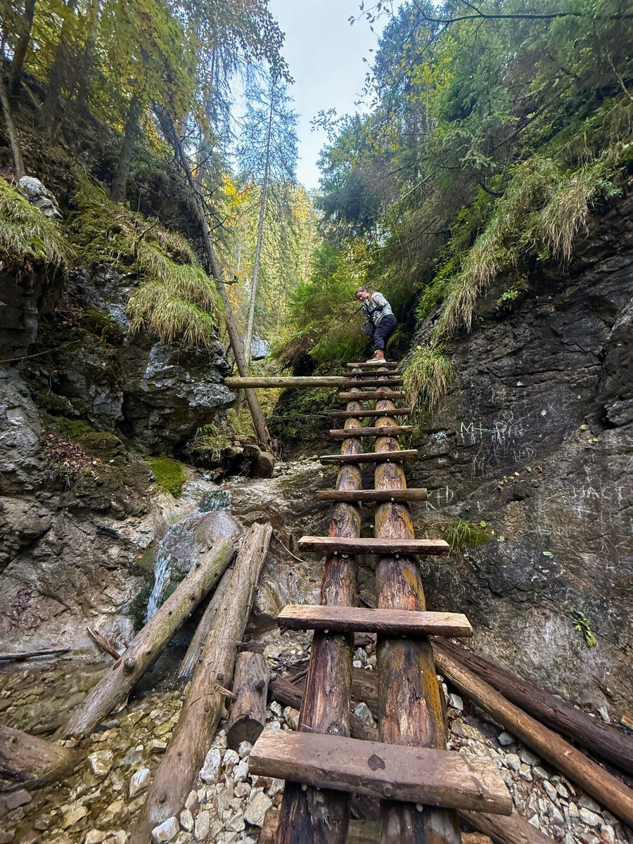 Jess🐐 tweet media