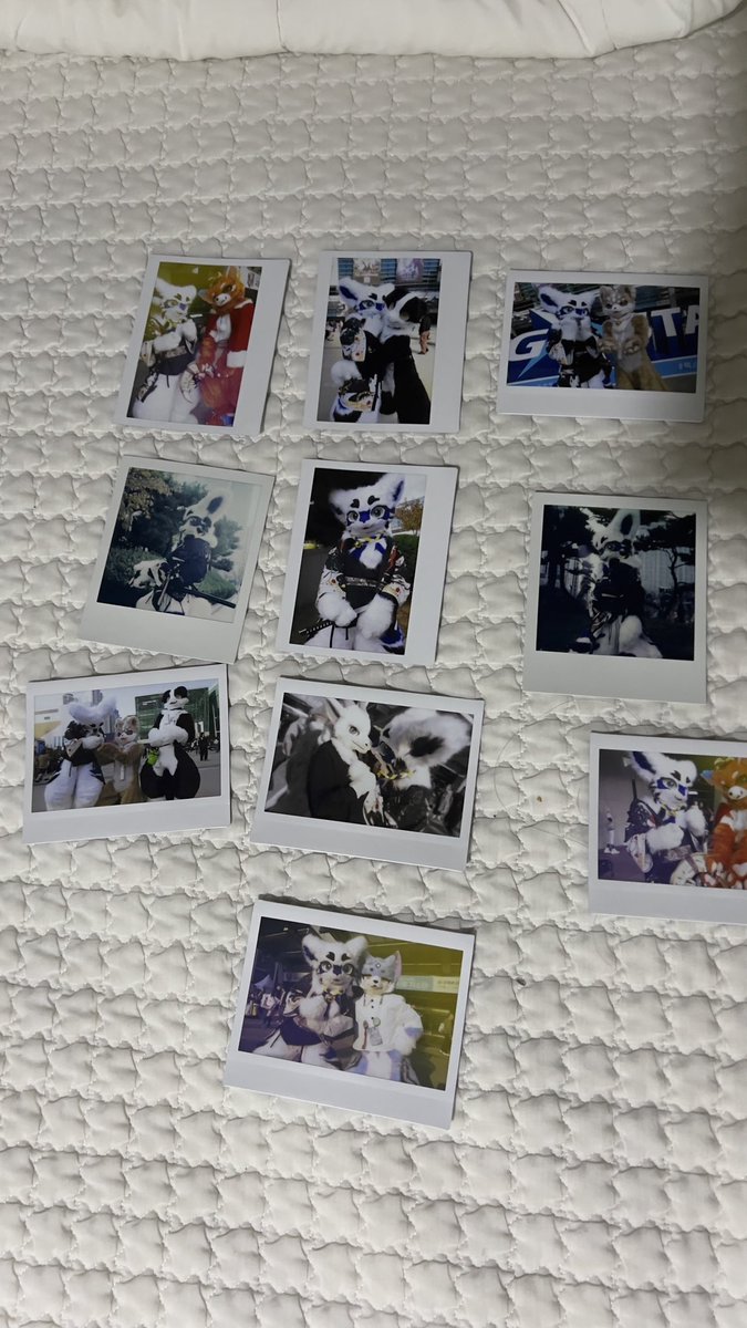 fIa(피아) tweet media