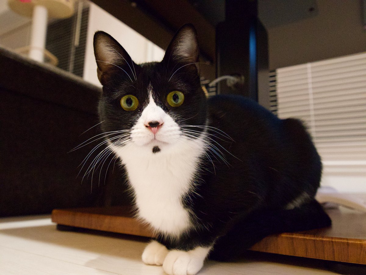 MATAです₊⁎⁺˳✧༚ KAMEN RIDER ZX #kamenridervideoclip #kamenrider #KamenRiderZX