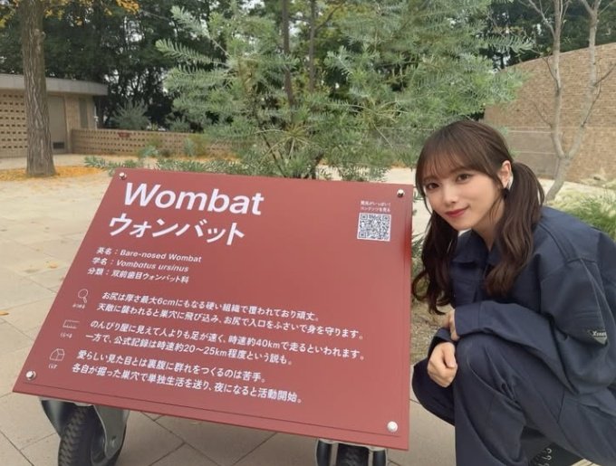 今年のウォンバットの日も楽しかったね🐨💓 来年も楽しみだ〜(っ ॑