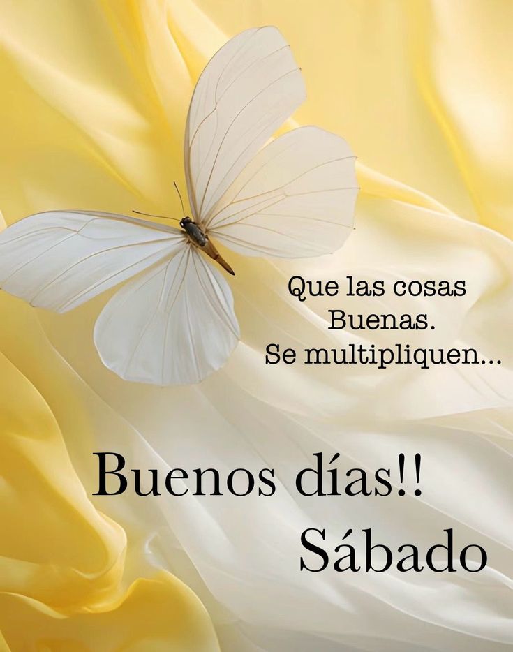 Buenos días feliz sábado gente linda,cuídense del calor, abrazos 🌞😊🙋🧉🥵❤️🥰🫂😘💫🎶🍀