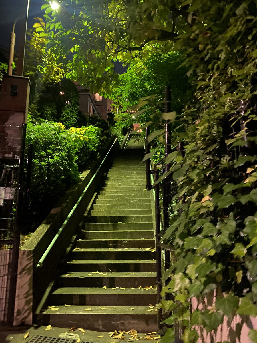 m_u_n_i__n's tweet image. 中目と恵比寿の間は一本入ると坂道と階段ばかりで動悸がﾊｧﾊｧ