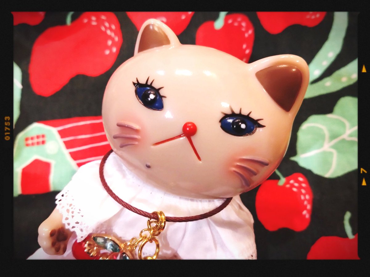 ΦωΦ)ﾌﾌﾌ… コイちゃんにも メイクを施した٩(๑卍ω卍๑)۶ (ΦωΦ)ﾌﾌﾌ…