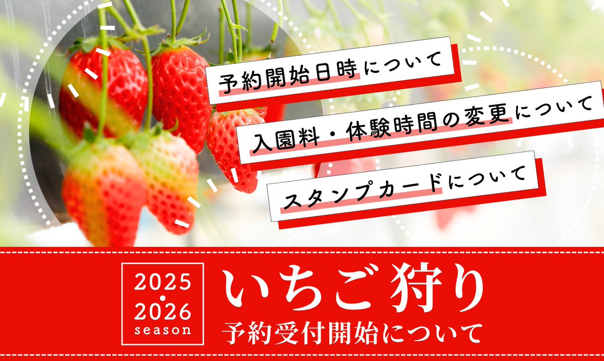 おさぜん農園￤京都 いちご狩り (@osazenfarm) / Posts / X
