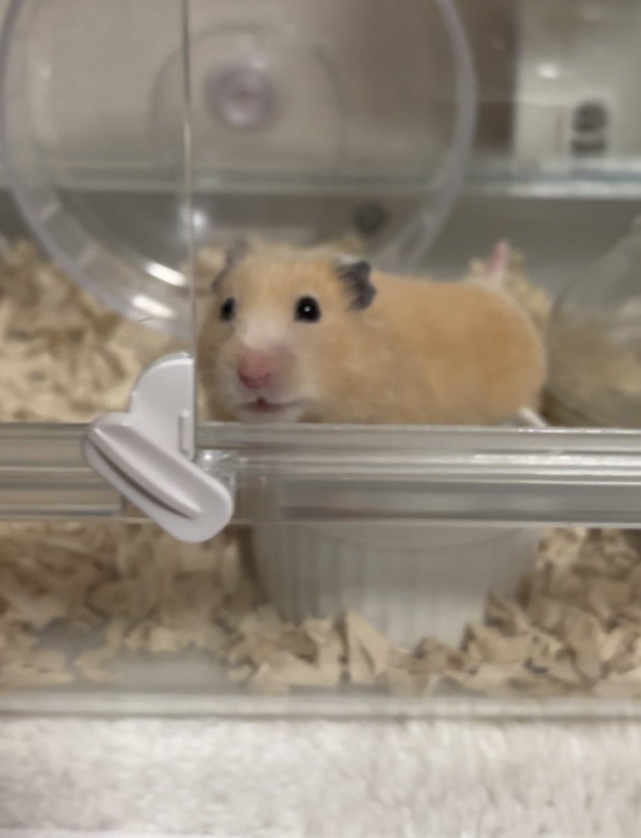 ごはんだよ〜♥︎