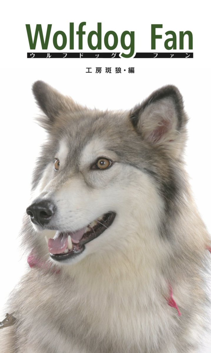 11/23(日)ビックサイトで開催される #文学フリマ東京 初参加！ 南1〜2