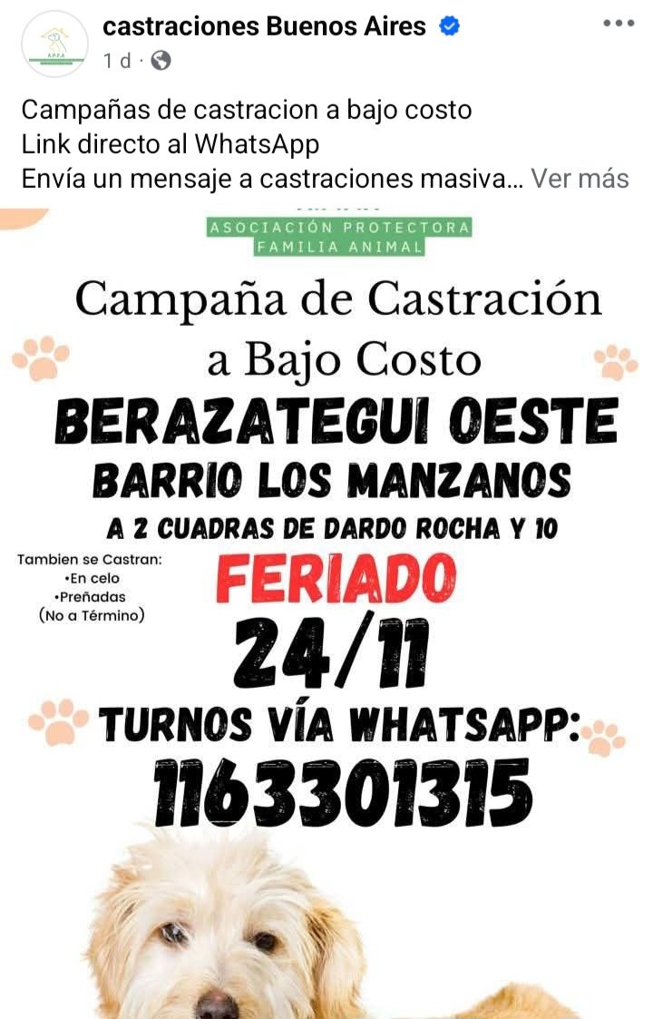 protegealanimal's tweet image. BERAZATEGUI 
#BERAZATEGUI #BERA #VILLAMITRE #BERAZATEGUIOESTE #BARRIOLOSMANZANOS #PLÁTANOS #VILLAESPAÑA #RANELAGH #GUILLERMOEHUDSON #HUDSON #ZONARURALNORTE #ZONARURALSUR #PEREYRA #ELPATO #SOURIGUES #JUANMARÍAGUTIÉRREZ #GUTIÉRREZ #ZONASUR #GRANBSAS #BSAS #BUENOSAIRES #CONURBANO