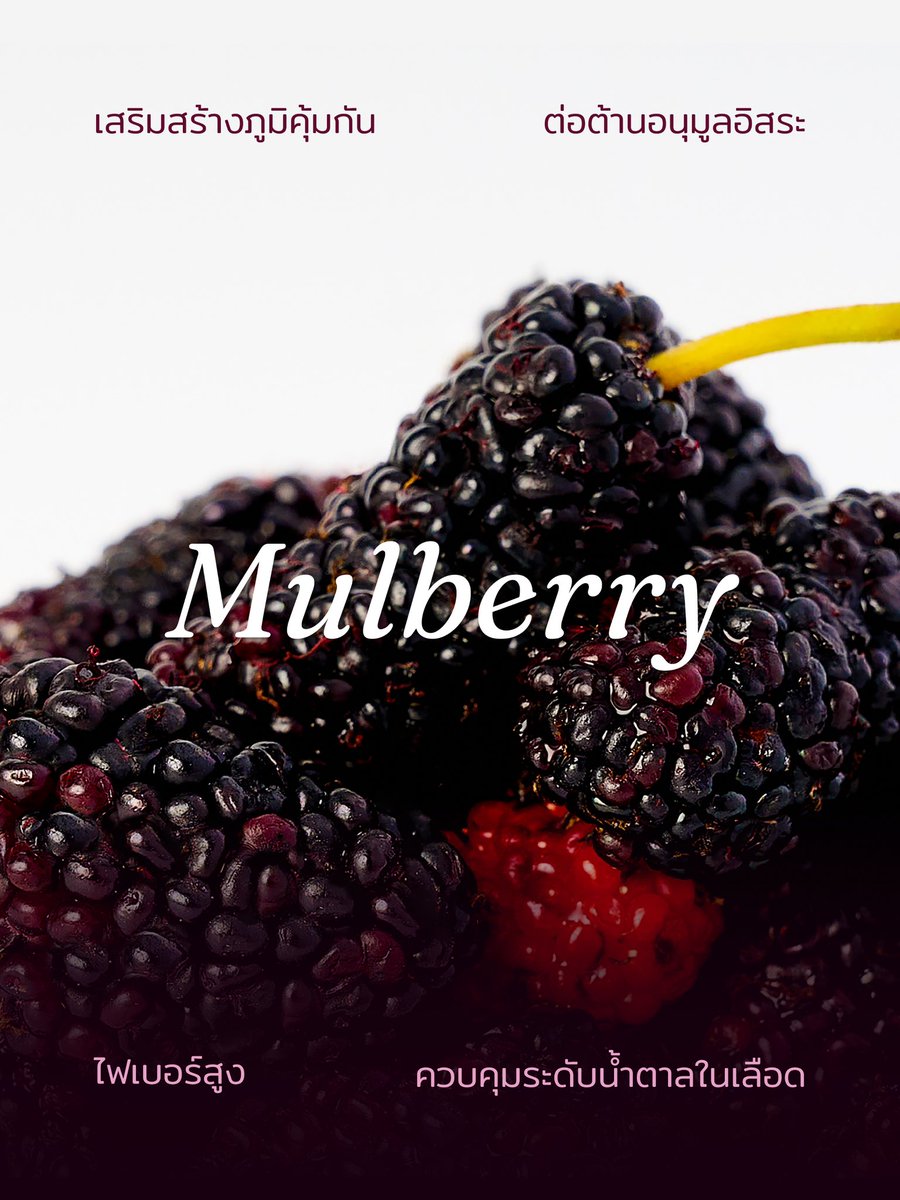 เปิดตัว Drinking Yogurt รสชาติใหม่ - Mulberry 🍇

📍 พร้อมเสิร์ฟแล้วที่ YogurBara ทุกสาขา ✨
🛵 หรือกดสั่งผ่าน GRAB ก็ได้เหมือนกัน!

มาค้นพบความสดชื่นเฉดม่วงที่ต่างออกไปในแบบมัลเบอร์รี่กันนะ

(อ่านต่อด้านล่าง)

#YogurbaraThailand