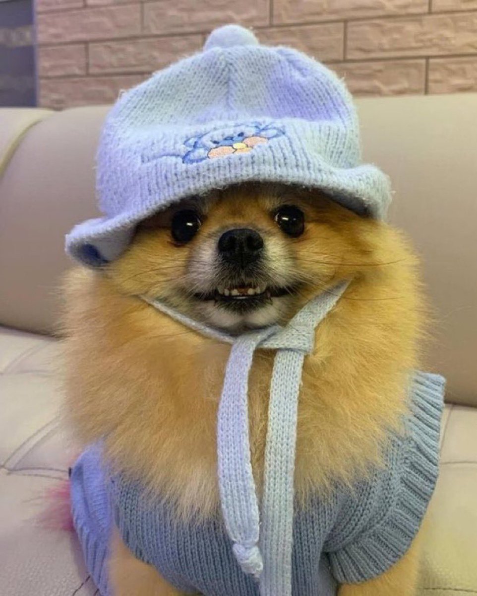 Daily reminder to <a href="/coinbase/">Coinbase 🛡️</a> , @Binance, <a href="/Gate/">Gate</a> , <a href="/RobinhoodApp/">Robinhood</a> , <a href="/krakenfx/">Kraken</a> and <a href="/HyperliquidX/">Hyperliquid</a>

to list $KORI!  KORI continues to be the most viral dog ever tokenised on the blockchain. Will be one of your most profitable endeavors that generates lots of fees due to its popularity