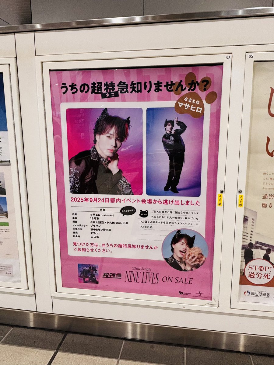 りこまる🐾 (@rico_ricomar) / Posts / X