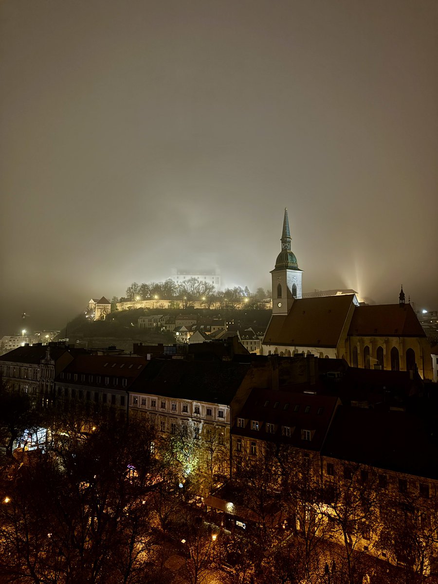 ACRONYM_HEurope's tweet image. End of Névyne’s mobility 🇫🇷➡️🇸🇰 a week full of research, writing, and great progress on our paper ✍🏼📚

We ended on a perfect note: dinner out and a walk through the old city 🌙🏙️

#Research #Migration #Bratislava