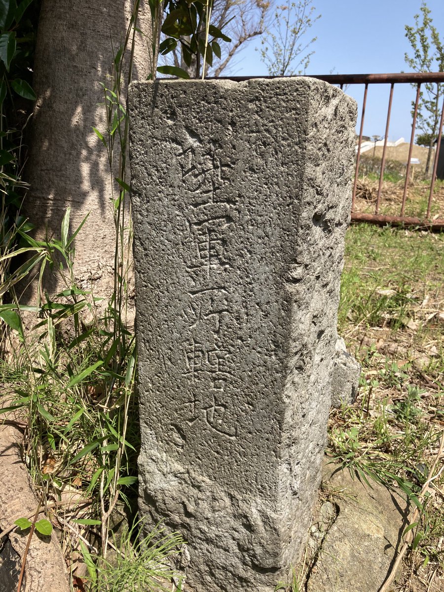 横須賀市米ヶ濱演習砲台の陸軍境界石 「陸軍用地」「陸軍省所轄地