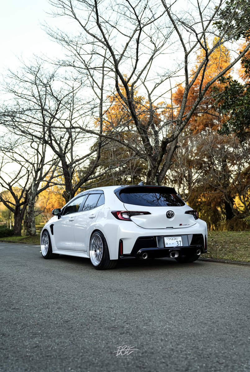 モッチー様 もっちー🦭 (@mochi_fl5) / Posts / X