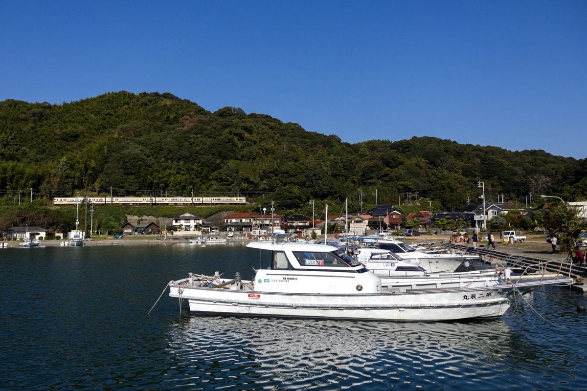 2025.11.8 山陽本線 115系N-04編成 瀬戸内色 一度は撮ってみたかった