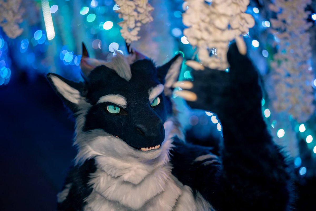 Krescent Cafe -> Infurnity -> Kemocon18 🫠

📷 Lyon
#FursuitFriday