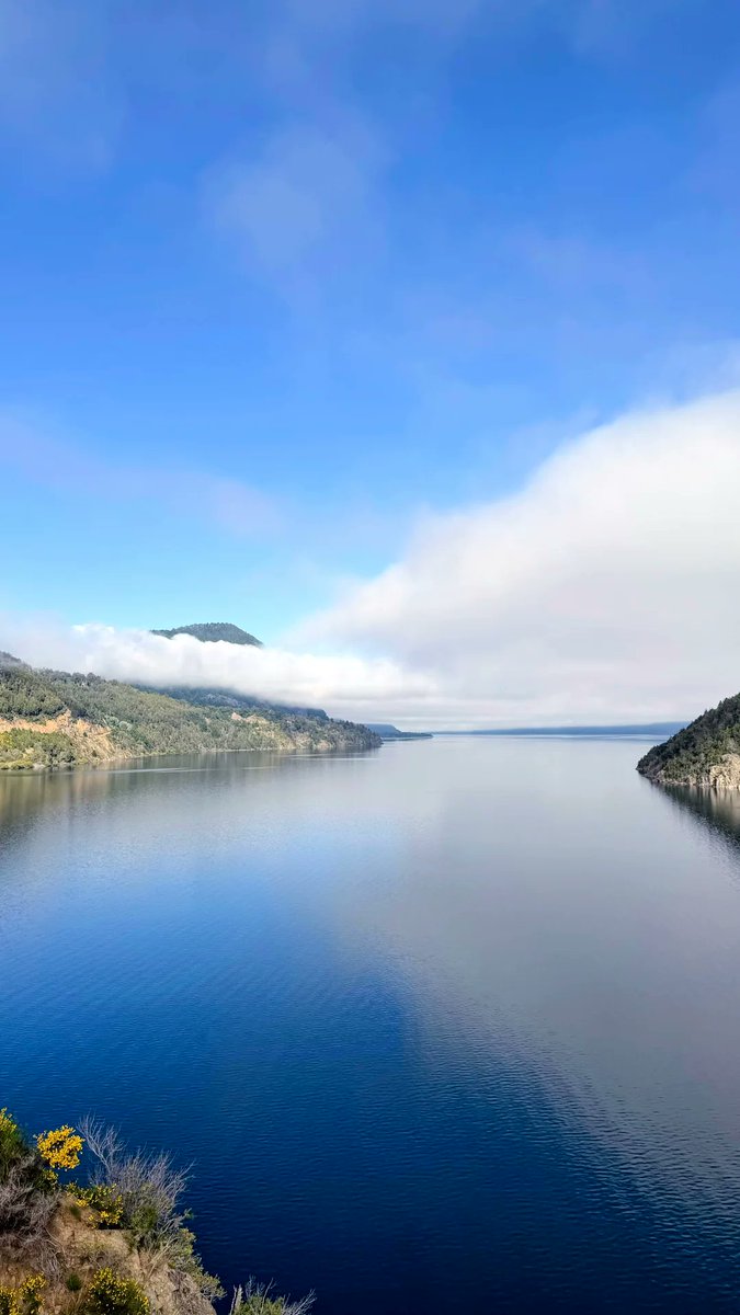 Husam :: حسام عبود tweet media