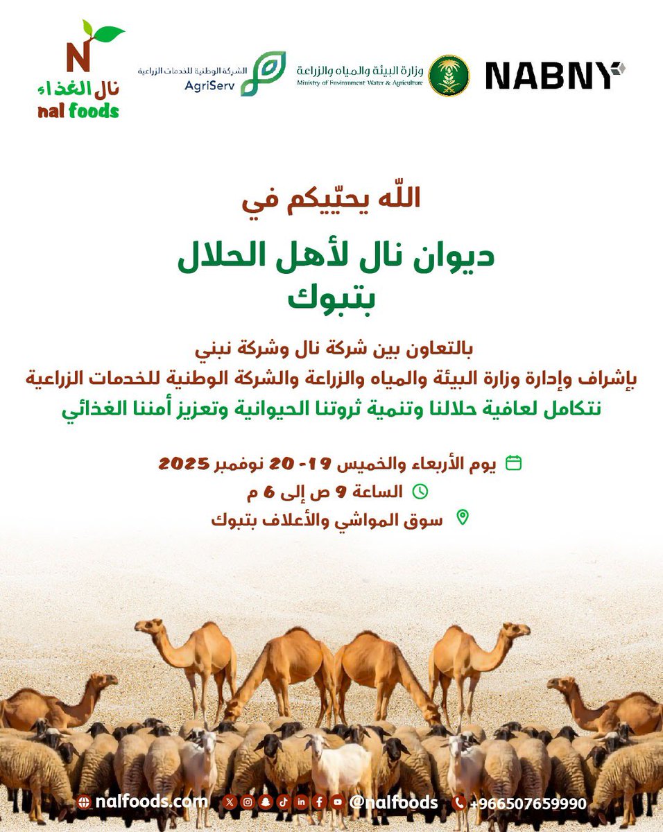 الله يحيّيكم في ديوان نال لأهل الحلال بتبوك، نتكامل لعافية حلالنا وتنمية ثروتنا الحيوانية وتعزيز أمننا الغذائي، وأبشروا بخصومات خاصة على أعلاف نال، واستشارات مجانية لخدمتكم وخدمة حلالكم🍃

📍سوق المواشي والأعلاف بتبوك
🗓️ الأربعاء والخميس 19-20 نوفمبر 2025
🕥 الساعة 9 ص إلى 6 م