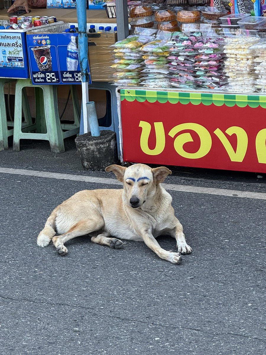 Fna73's tweet image. ピンクガネーシャに行ってFreen-Sarocha ChankimhaとBecky-Rebecca Patricia Armstrongの幸せと健康で楽しく推し活！の思いを込めて、フリベキが幸せでありますようにと願ってきた。あとここでフリベキアイスを発見。旨し！
アメージングタイランドな犬。なんで？