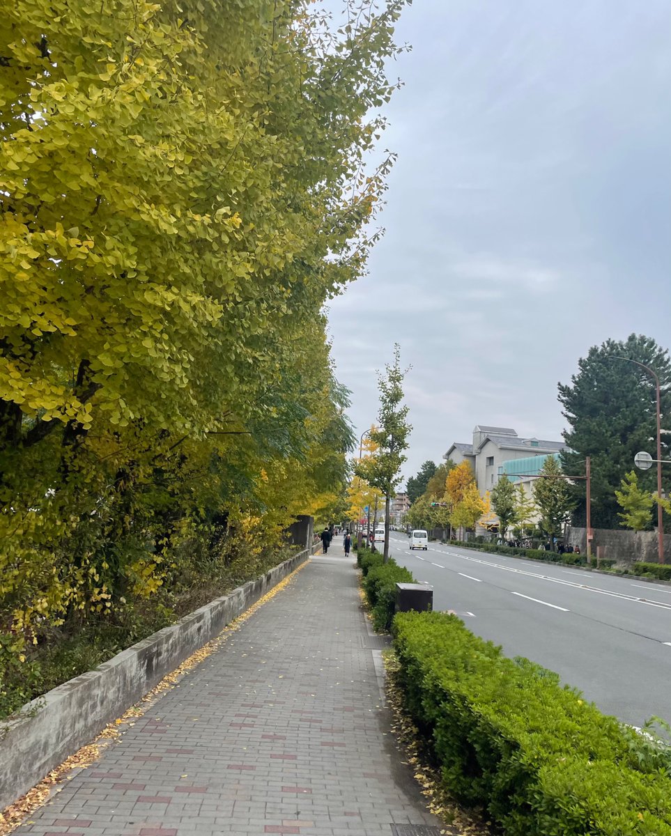 今週は京都で物理の集会で講演しました。連日夜まで議論をして本当に楽しい一週間だった。