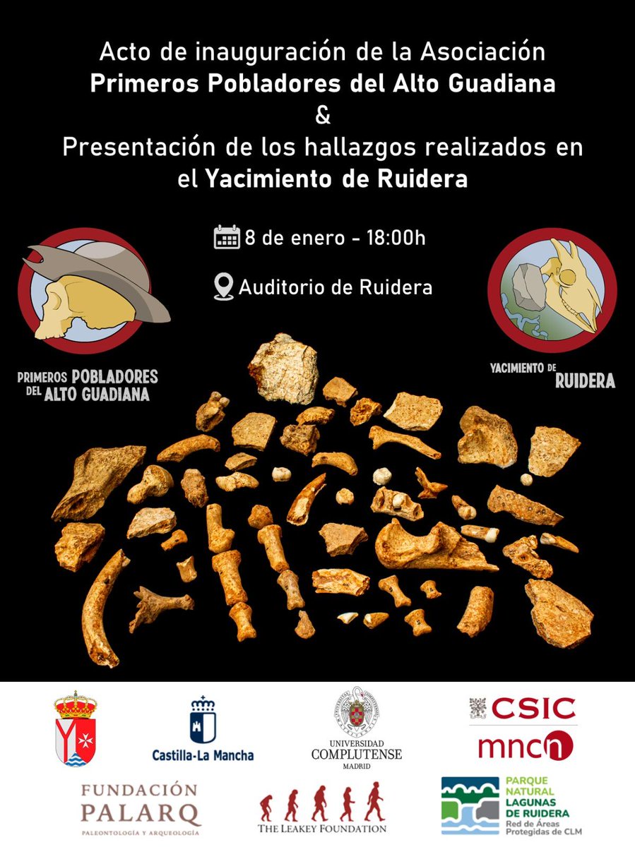 Invitación a la Inauguración de la Asoc. Primeros Pobladores del Alto Guadiana y la Presentación de hallazgos espectaculares en el #YacimientoRuidera. ¡Se comparan con los de #Atapuerca! 🤯
🗓️ 8 de enero⏰ 18:00h📍 Auditorio de Ruidera

#Ruidera #Paleontología #Arqueología