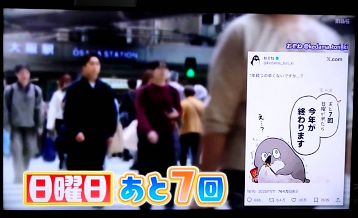 「日曜日あと７回で今年が終わる」という現実に「え…？」てなった絵に、とんでもない人数(約30万人)が「え…？」てなった結果、
ペンギンが初の地上波に…！！(横転)

(毎日放送「せやねん!」にて今日放送されました)