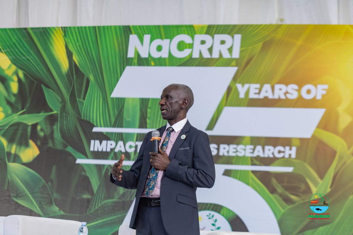 NaLIRRI's tweet photo. Congratulations to our sister institute @NARO_NaCRRI on 75 years of impactful research and
 excellence! We were honoured to celebrate this milestone with you yesterday. Here's to continued innovation and impact in agricultural research! #NaCRRI@75 #AgriculturalResearch https://t.co/oV4mPNYEFU