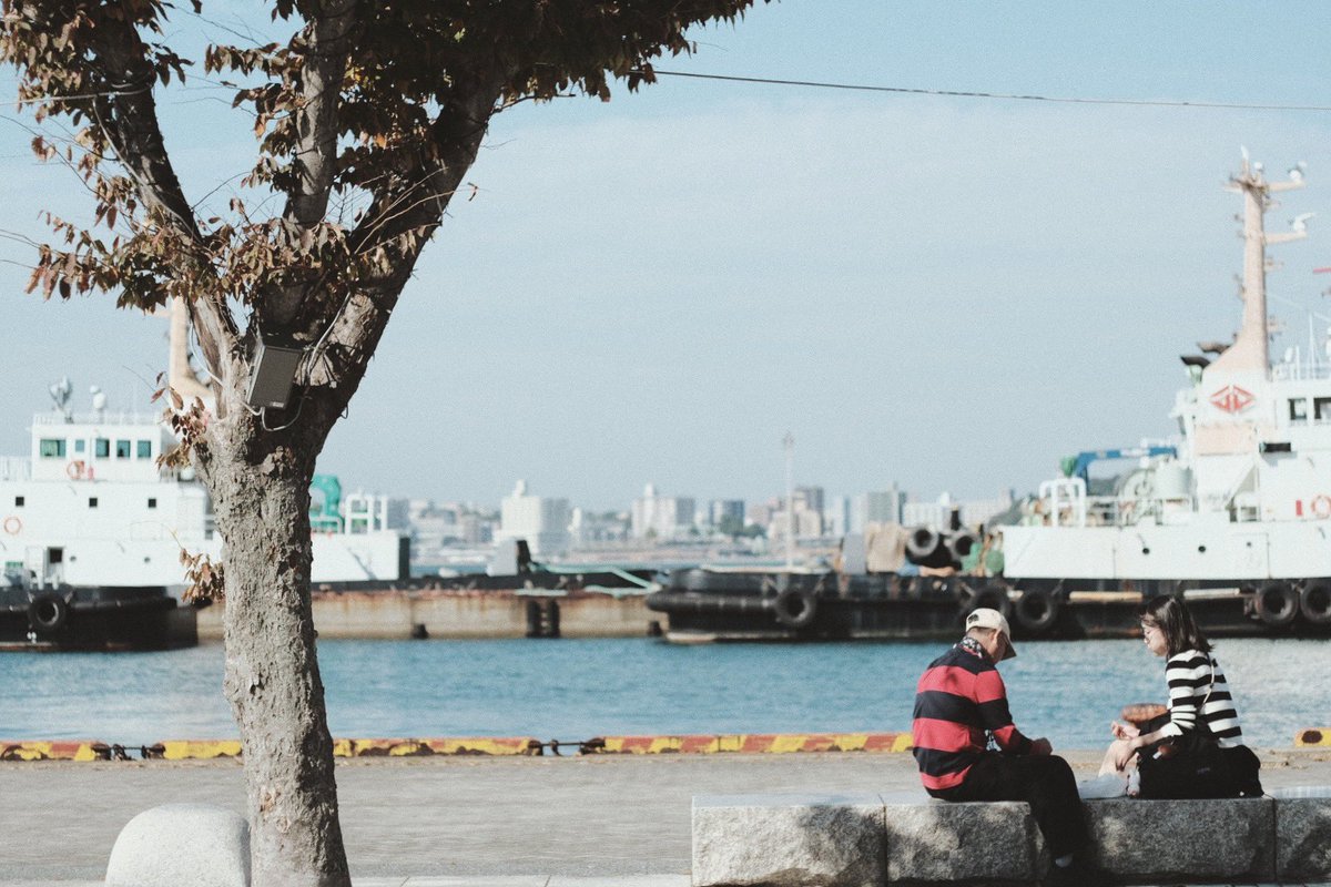 私はやっぱりMFレンズで撮るのが好き。