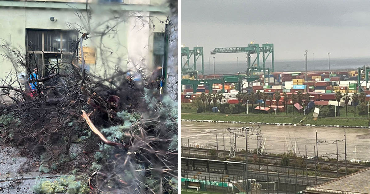 Tromba d’aria a Pra’, container rovesciati in porto e paura sulla fascia di rispetto. Tromba d'aria anche a levante - FOTO genovaquotidiana.com/2025/11/15/tro…