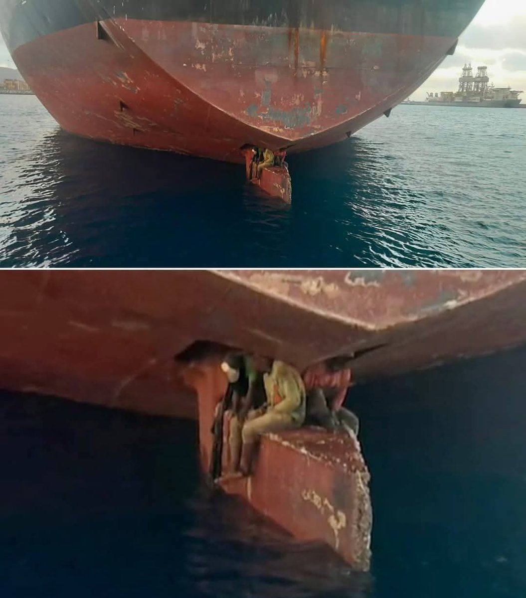 Three Men. Eleven Days. One Impossible Journey; 

In a land where the sea keeps its secrets and the night speaks in whispers, three men from Nigeria set out on a journey that belonged more to legend than reality. They clung to the hidden rudder of a giant iron beast — the