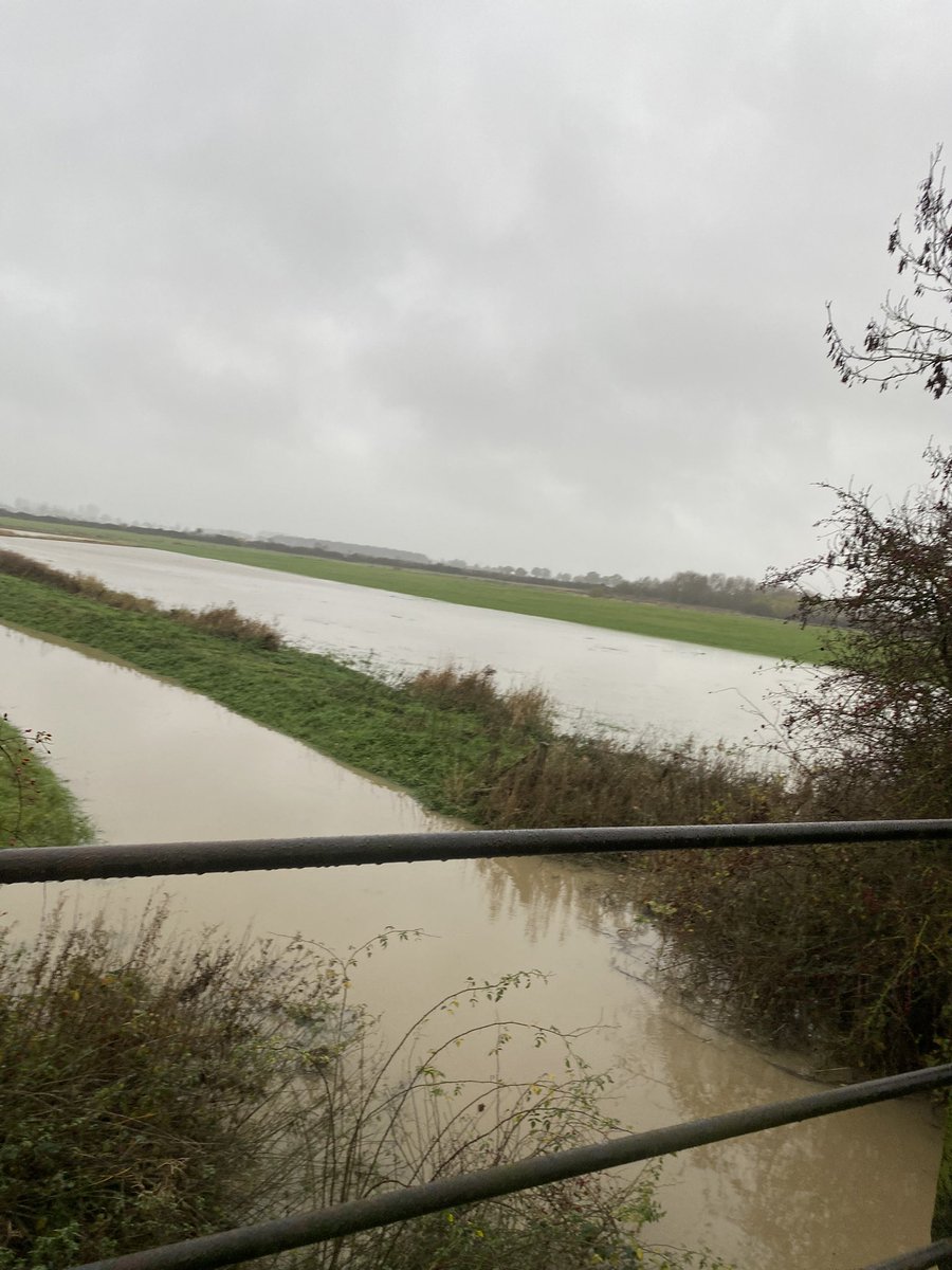 katiecakey123's tweet photo. Saturday long run done π very wet but actually quite enjoyable. Enjoyed the solitude today. #runninggirl #justkeeprunning #longslowrun #saturdaymorning https://t.co/cv7qNXaH8O