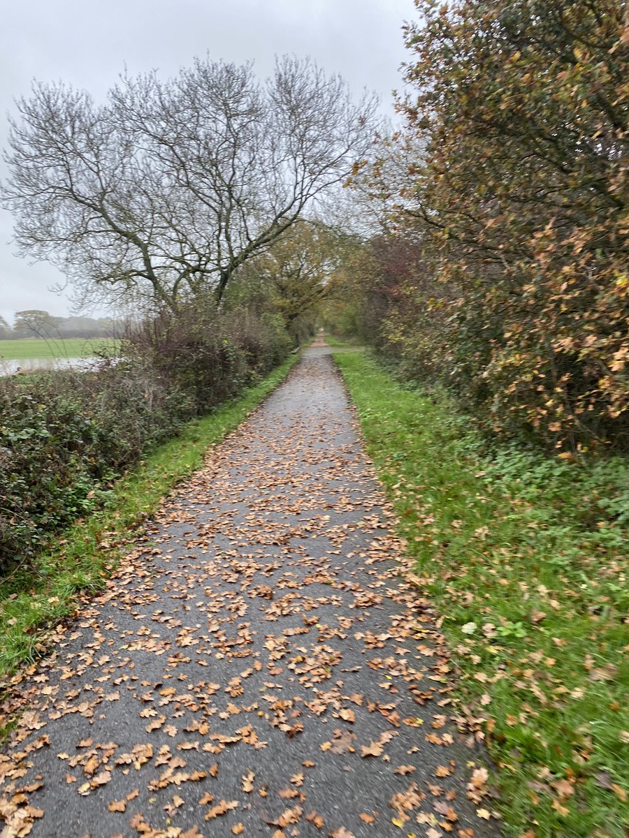 katiecakey123's tweet photo. Saturday long run done π very wet but actually quite enjoyable. Enjoyed the solitude today. #runninggirl #justkeeprunning #longslowrun #saturdaymorning https://t.co/cv7qNXaH8O