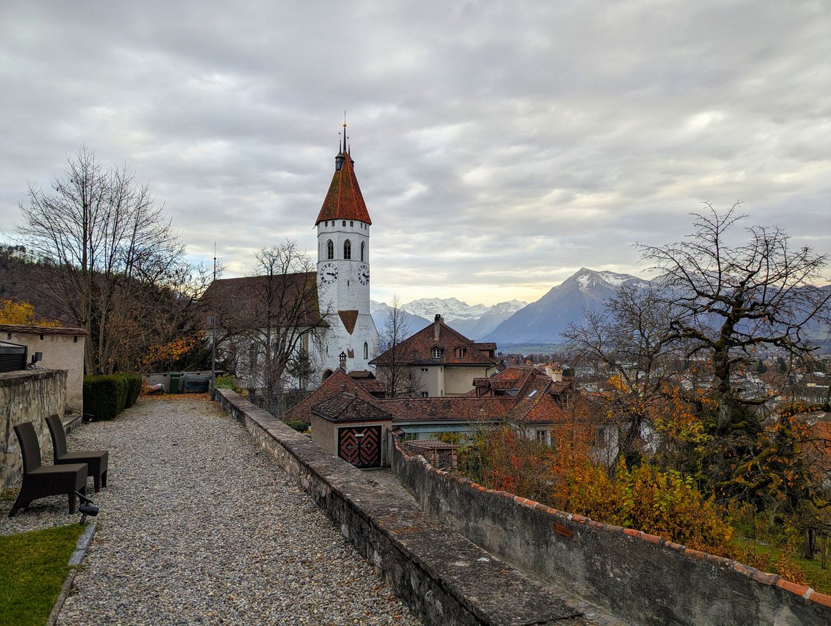 Roy Martin tweet media