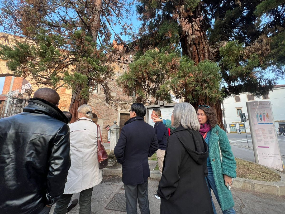 IAPTC_Assoc's tweet image. 🌎 Delegates of the #29IAPTC enjoyed a #cultural visit, exploring the historic beauty of #Vicenza 🇮🇹. The tour highlighted Vicenza’s rich architectural and artistic heritage, offering insight into the city’s #traditions and fostering global #connection